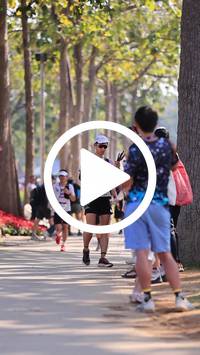 BIB:  <button type="button" onclick="openModal(27614495)" class="btn btn-primary btn-sm float-right" data-toggle="modal" data-target=".modal-high-quality">
                <i class="fa fa-download"></i> Download
                </button>